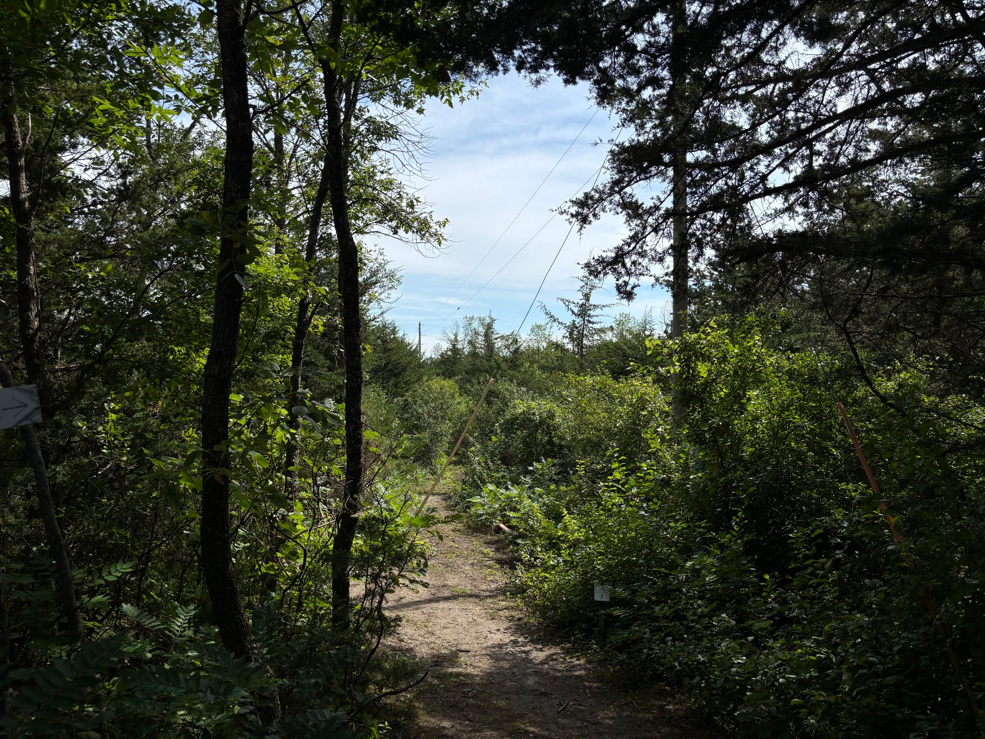 Your entry to the “Sumac 7”, (holes: 7,8,9,10,11,12, and 13)