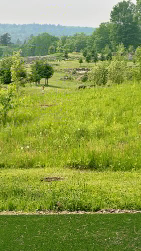 Looking straight out at the basket from the blue tee on hole #3.