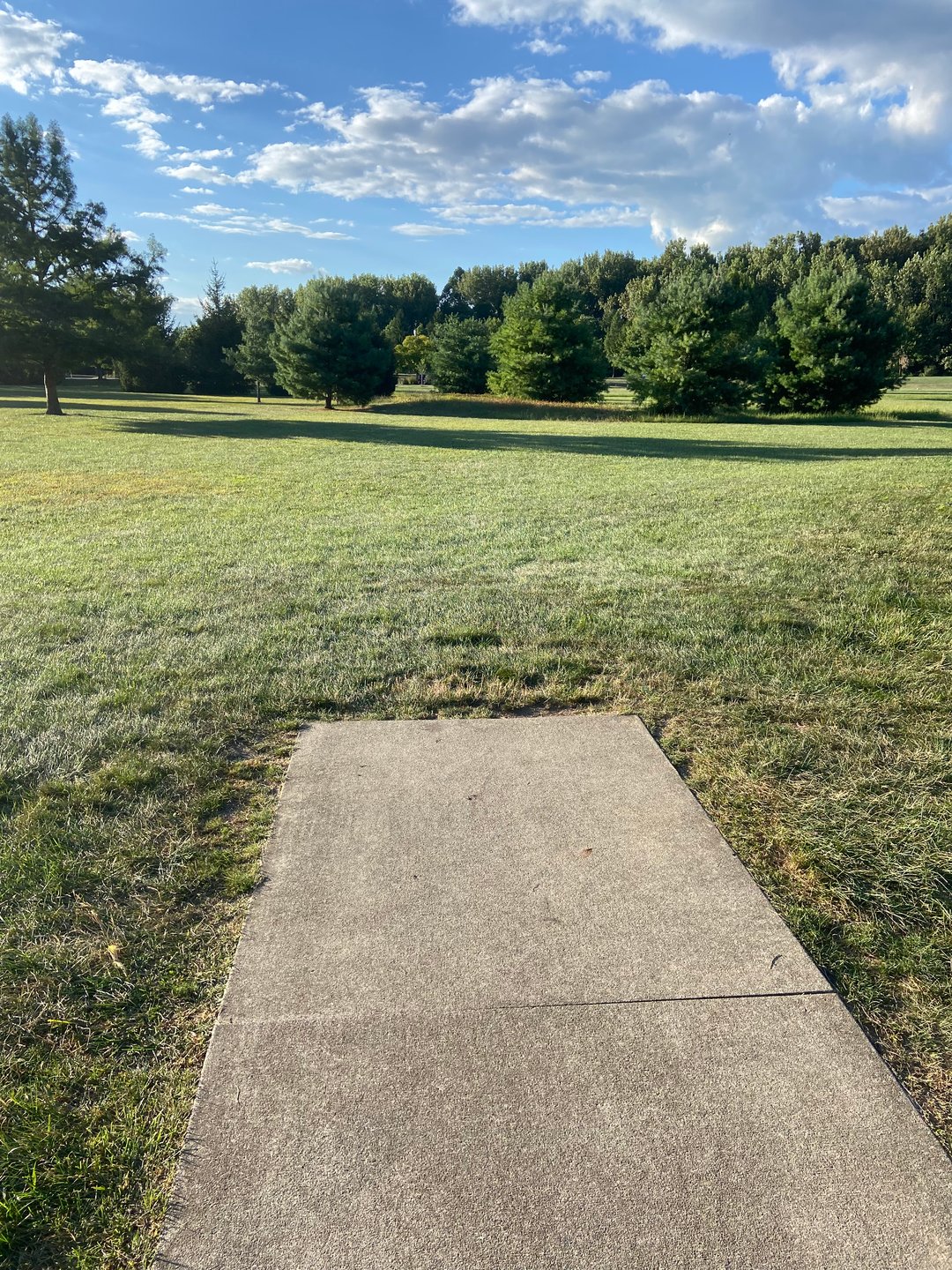 Hole 12. Basketball behind the trees. 