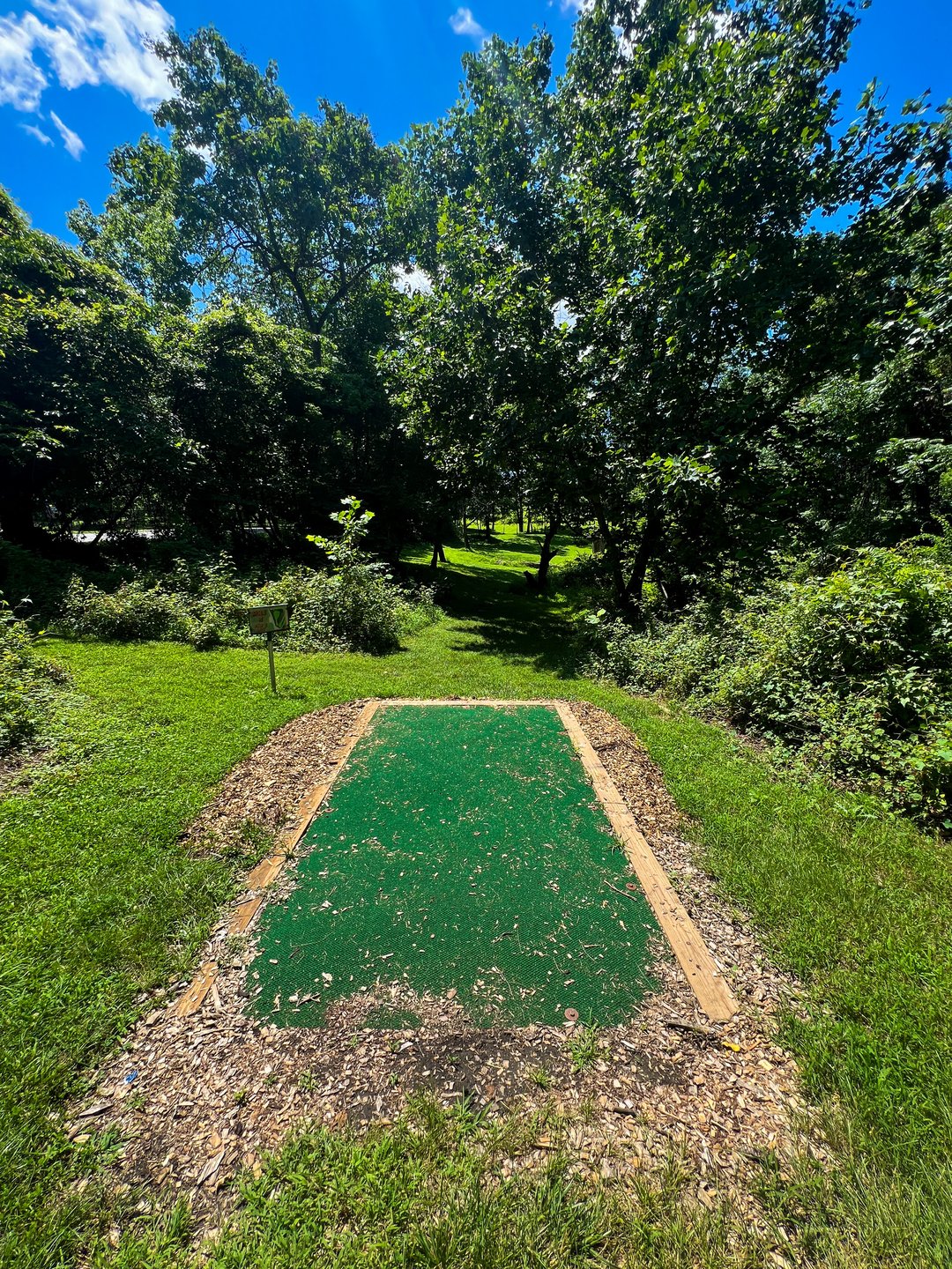 Hole 3's tee. Par 3. Yellow basket 252 ft and straight ahead, very slightly on the left. Pink basket is 231 ft and straight ahead and to the right. Pink basket is elevated on the crest of a subtle hill