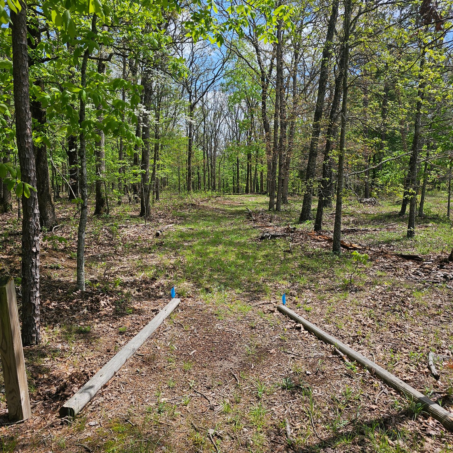 Hole 1 from the tee. 