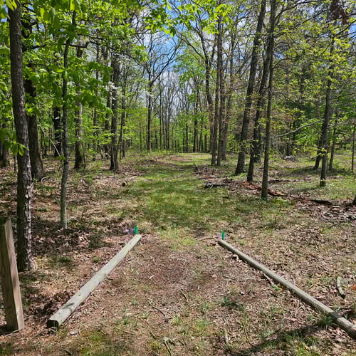 Hole 1 from the tee. 