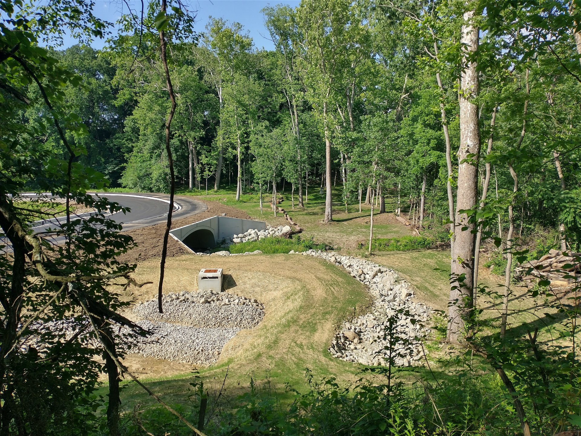 Hole 4 Blue Tee