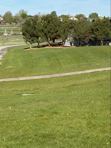 Course photo