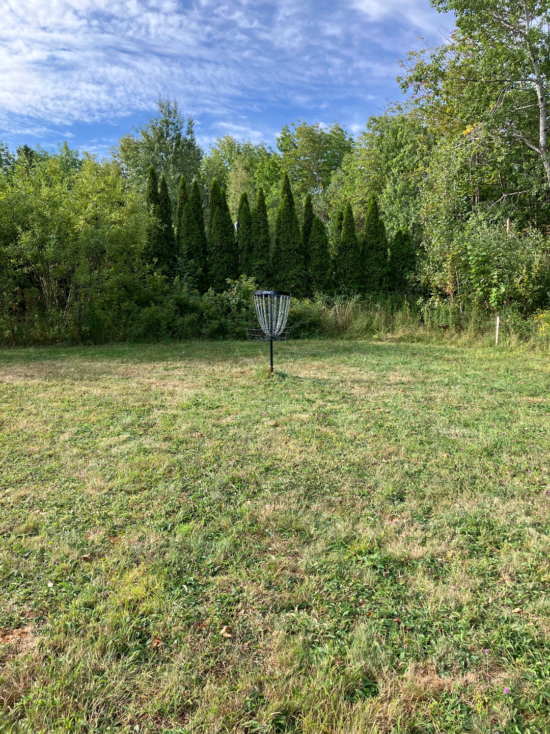 Hole 5 basket