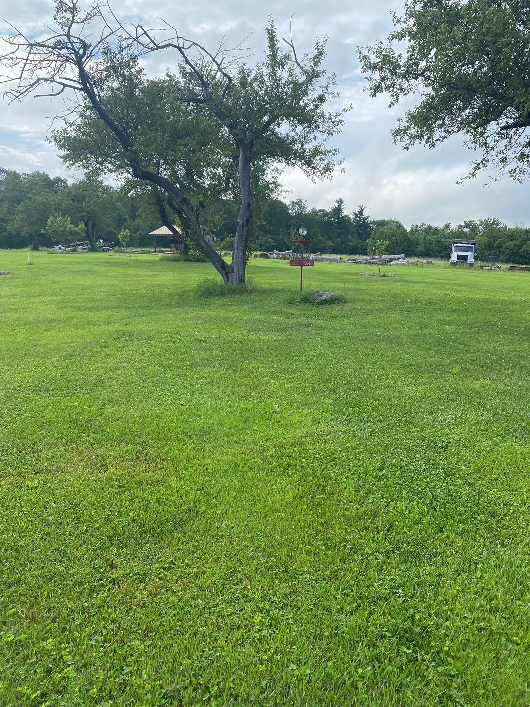 Incline throw next to apple tree