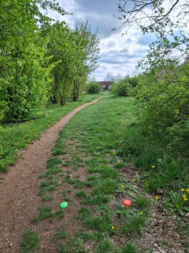 Tee 2
Target: Pulluppole behind the last Bush on the left