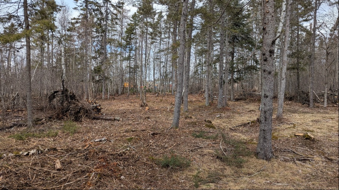 Hole 6 long mid fairway
