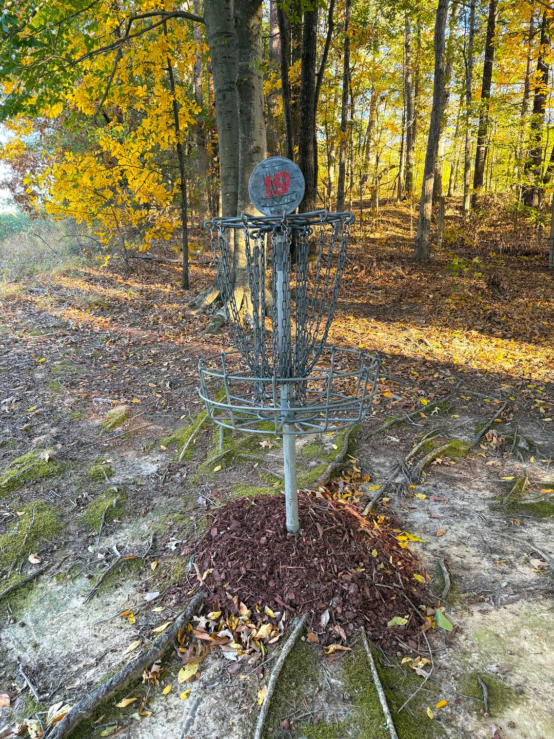 Hole 19 Basket