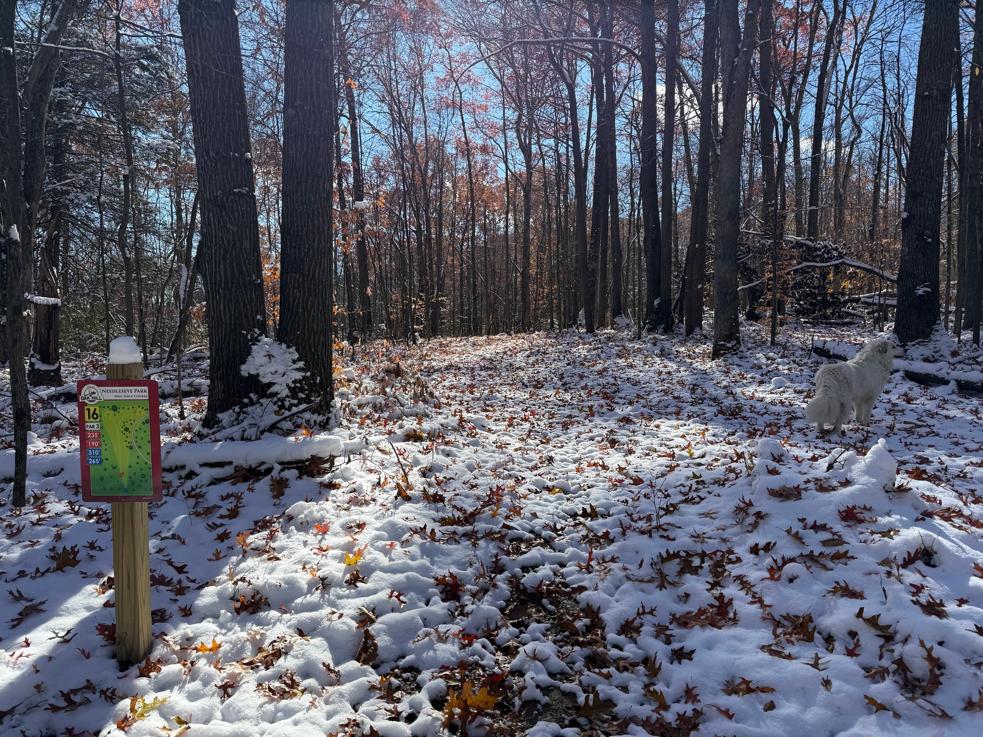 View from the short teepad