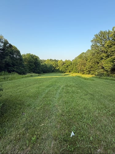 Hole 2 short tee