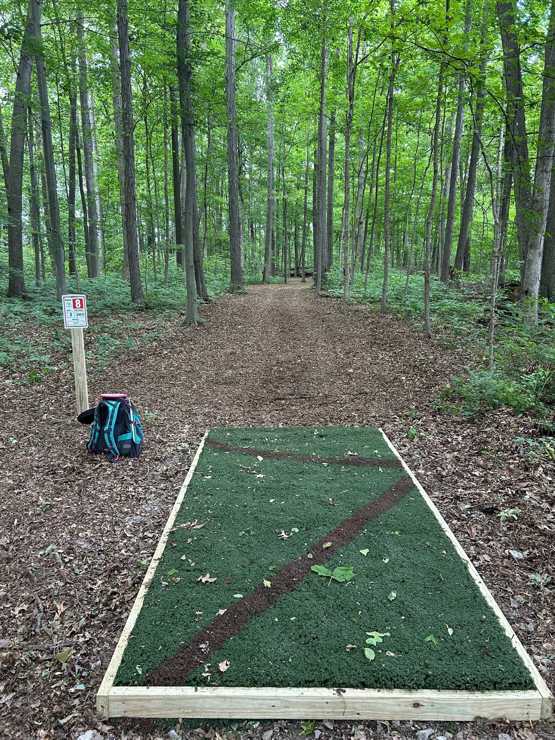 Hole 8 240ft par 3