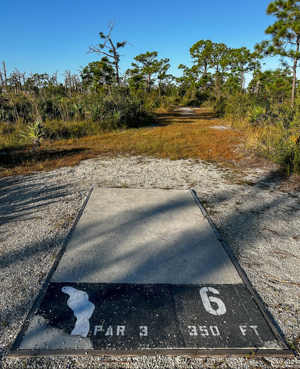 Current tee location 10/2025. 335 ft to basket from front of tee