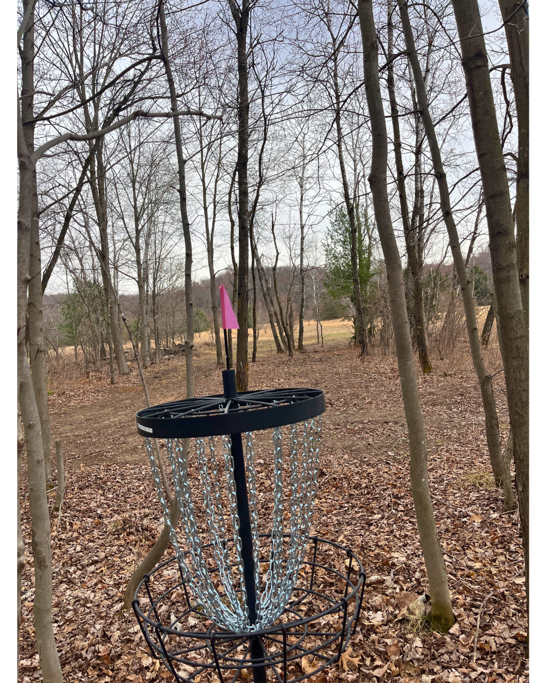 Hole 13 - view from behind basket