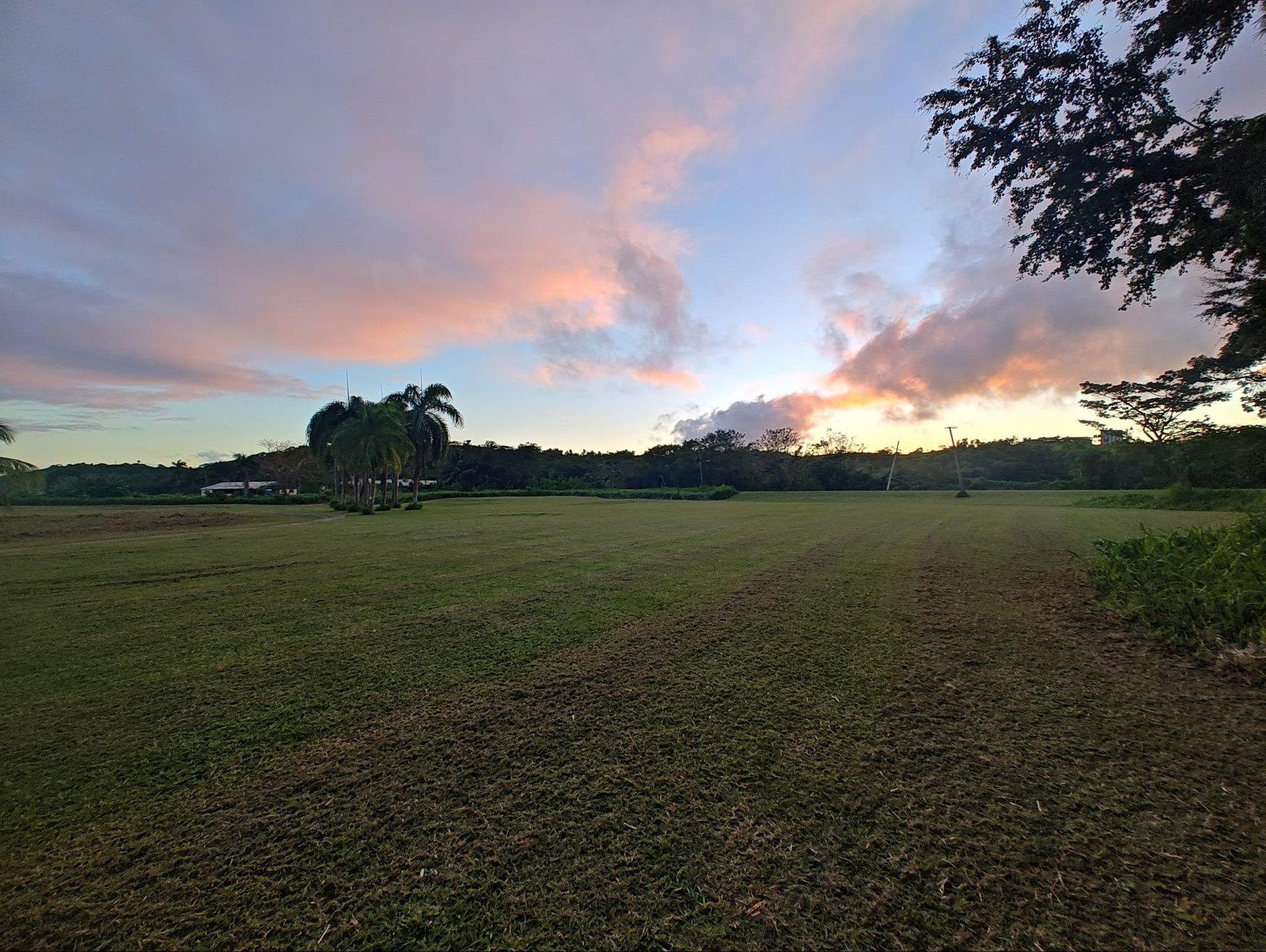 Across the old driving range behind the Caribbean Ability Park main parking