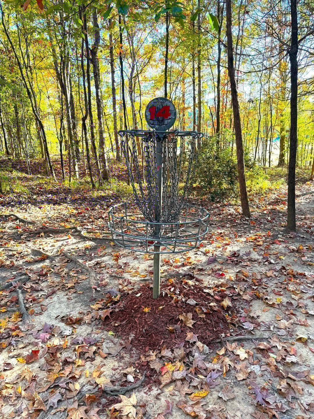 Hole 14 Basket