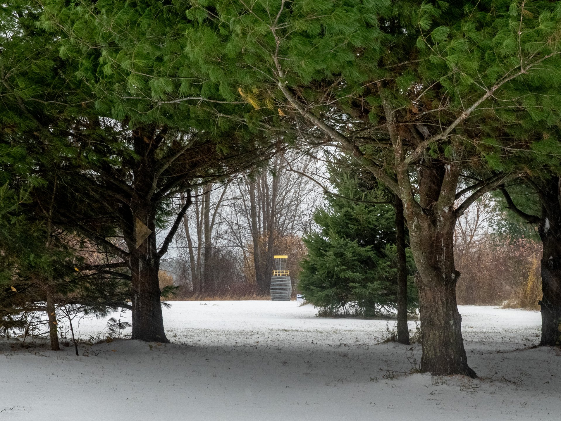 A view from Hole 4 Short Tee to Hole 4 Long Basket.