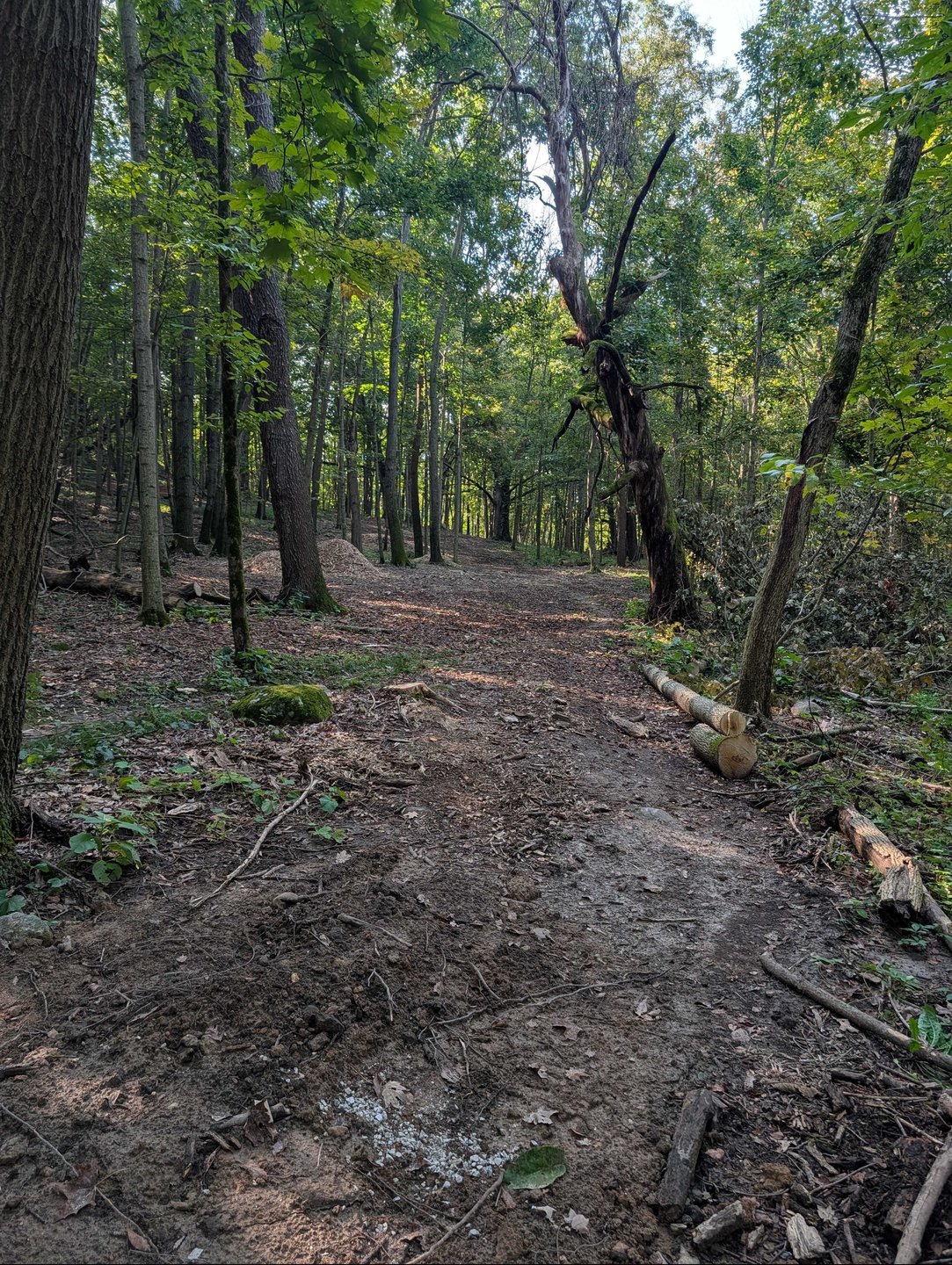 Hole 11 - Fairway from long tee - straight shot that finishes slightly to the left