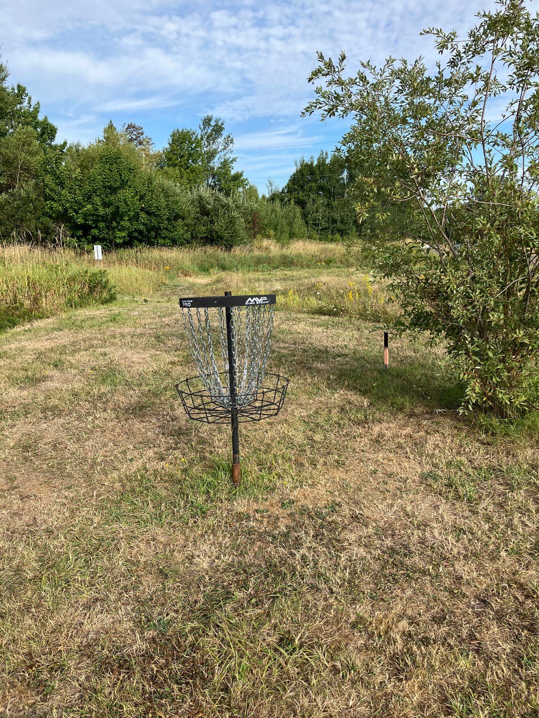 Hole 3 basket