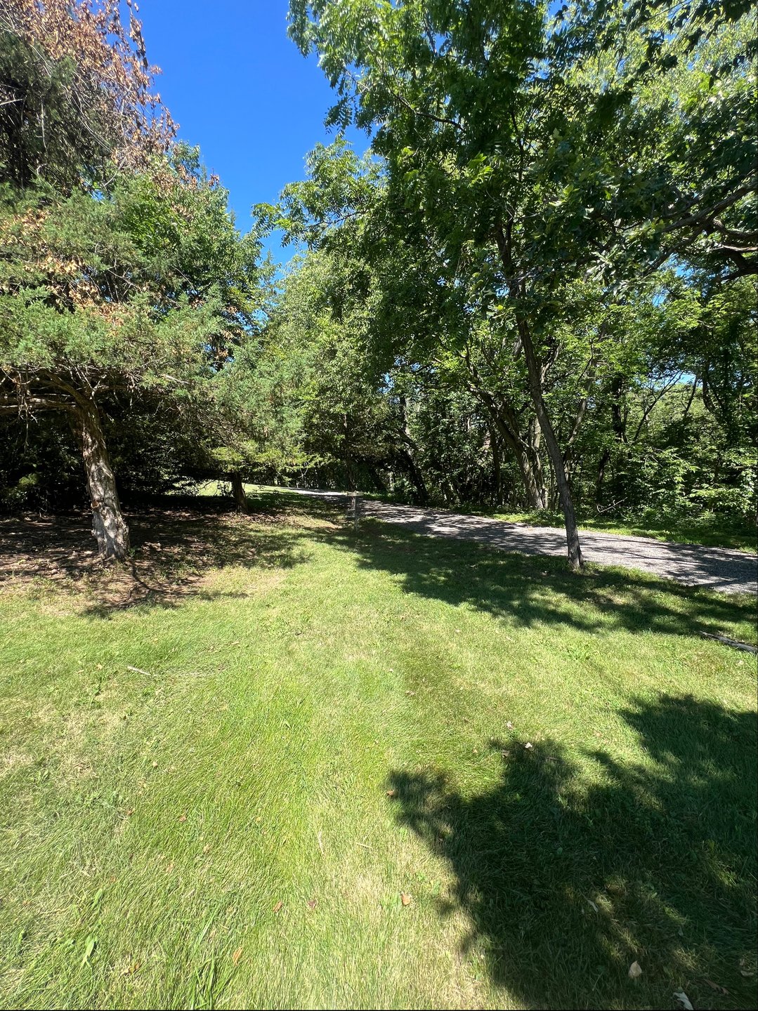 Hole #1 standing in fairway facing basket 