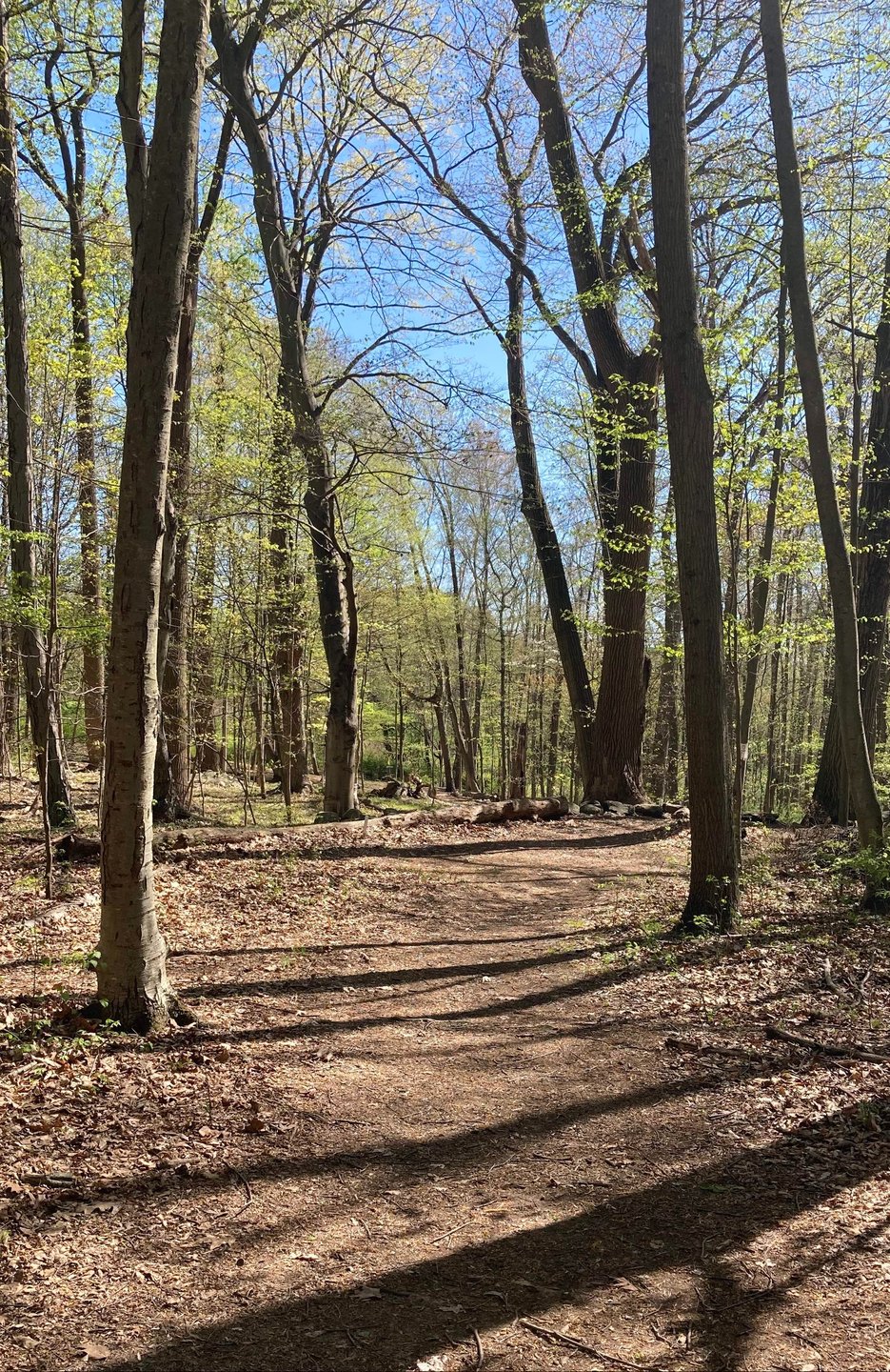 View from Hole 10 blue tee