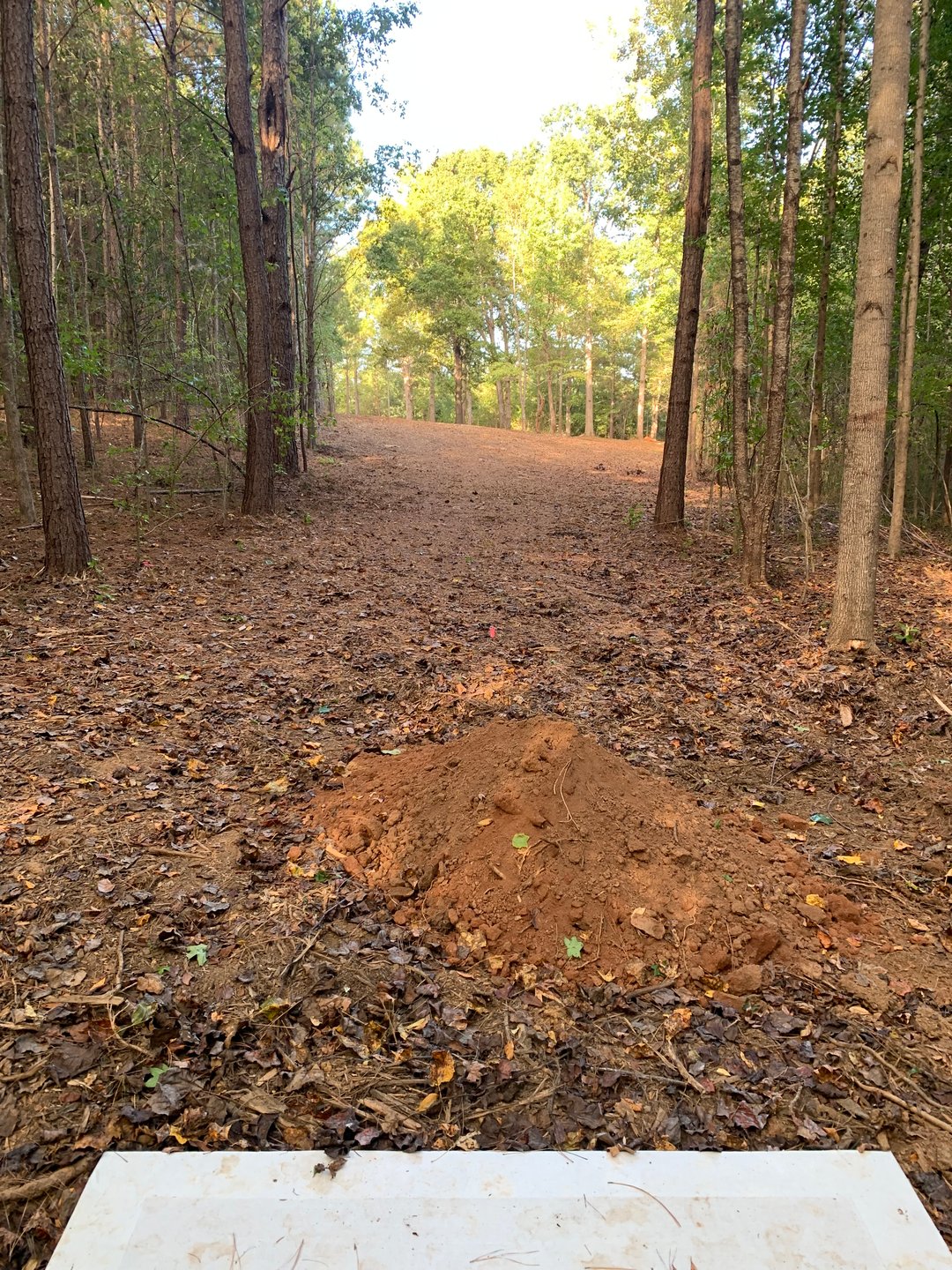 Hole 13 - Gold Tee (under construction)