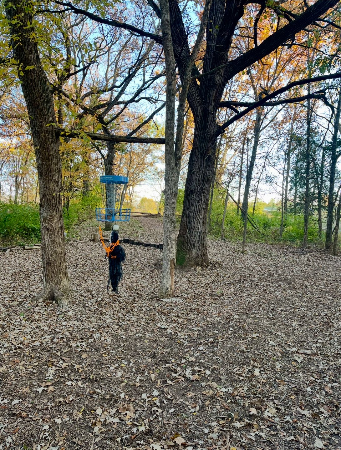 Hole 3 - Green looking back down fairway to tee. 