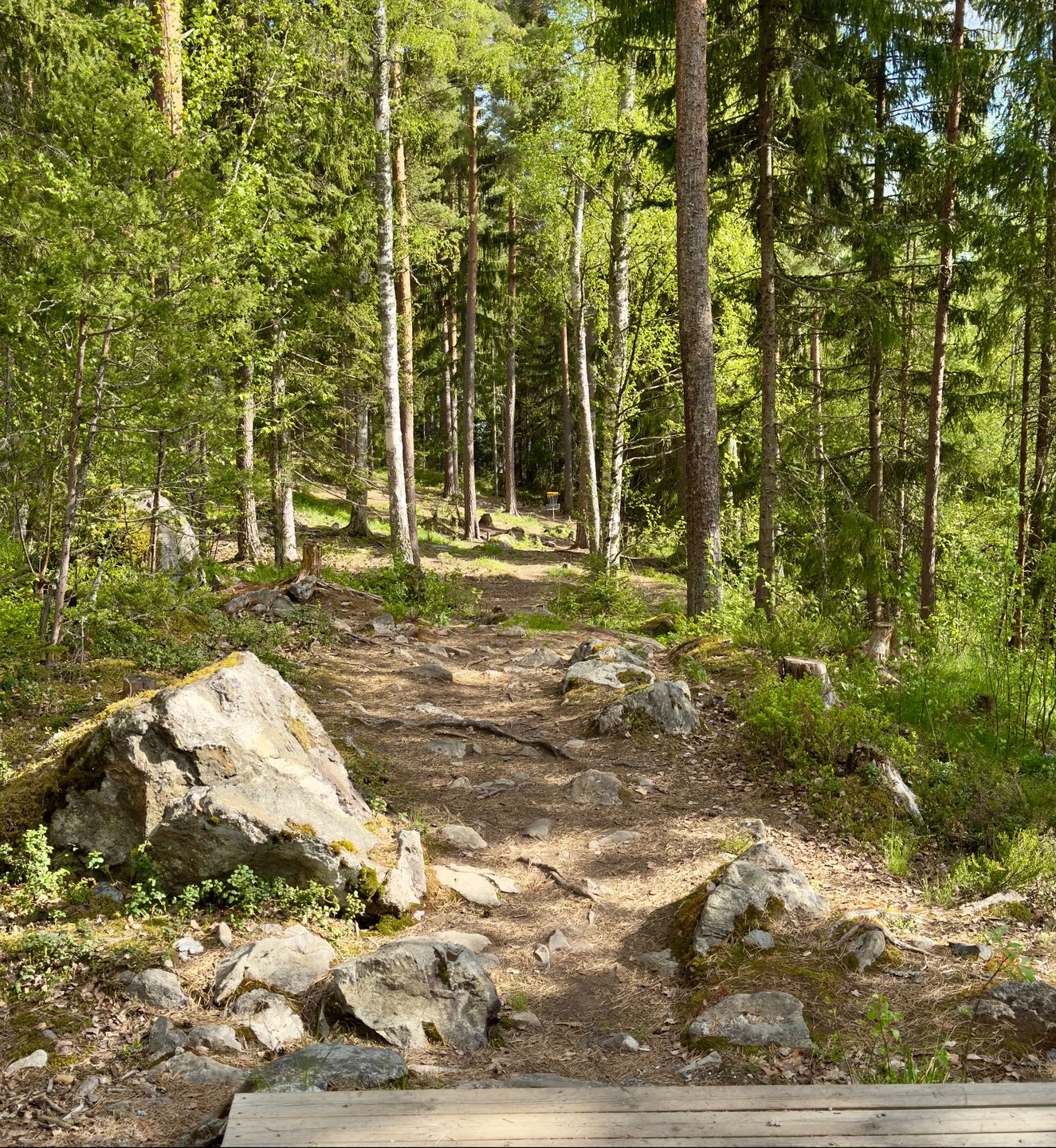 Väylä 1