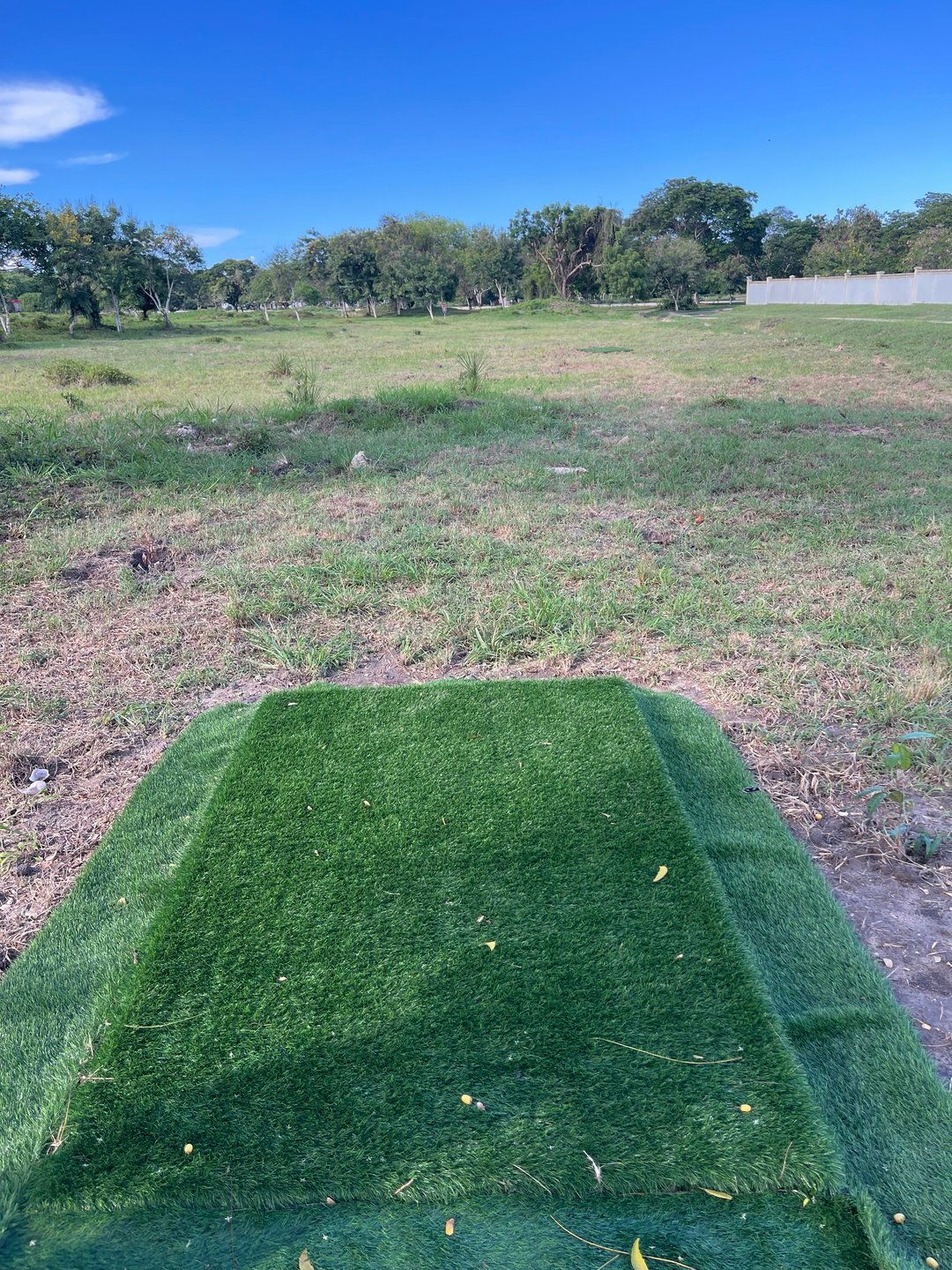 Hole 4 Long Pad