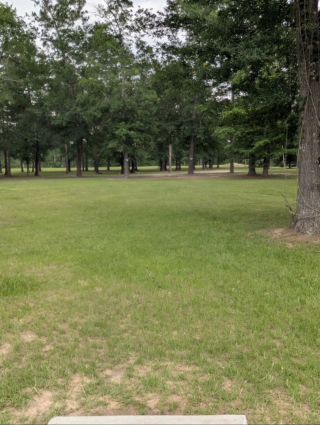 Hole 5 from the Tee.  Watch out for the Double Mando!