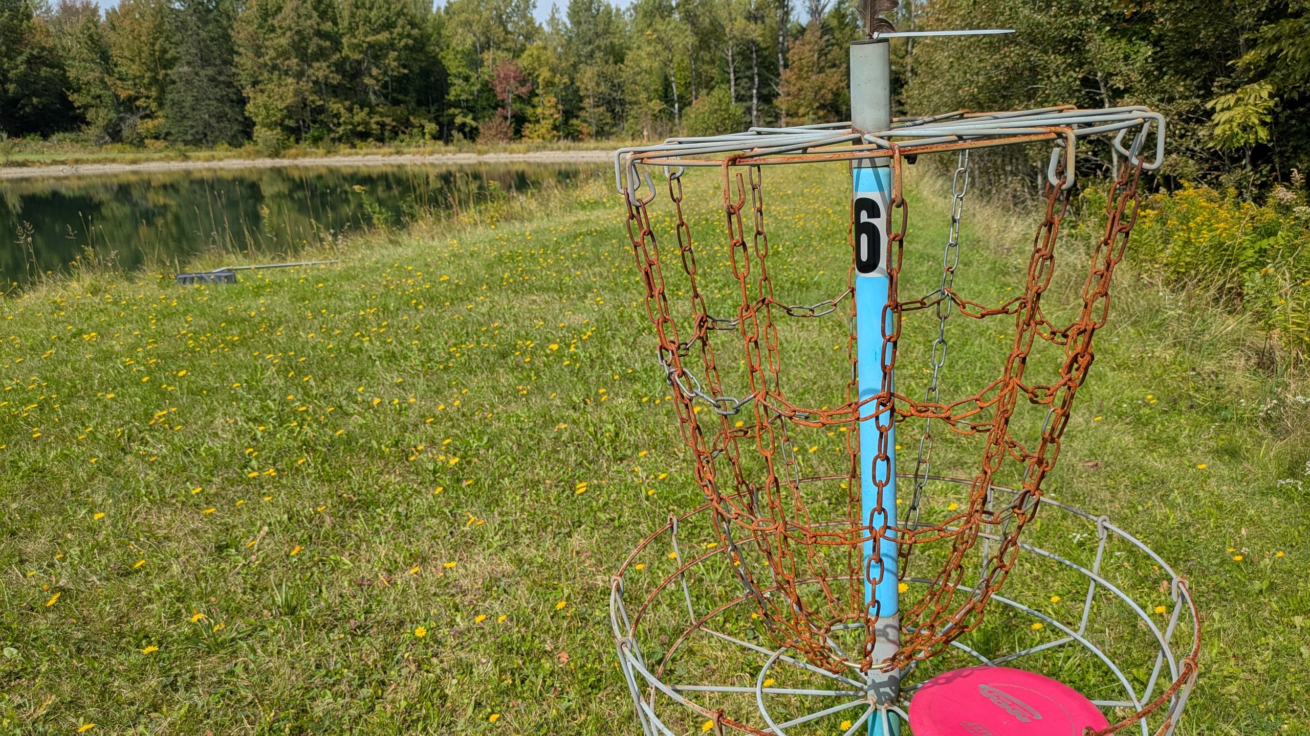 The Hole 6 basket. The pond comes into play if you throw a bad shot and there is long grass very near the basket, too. It's short and requires a (somewhat) precise shot.