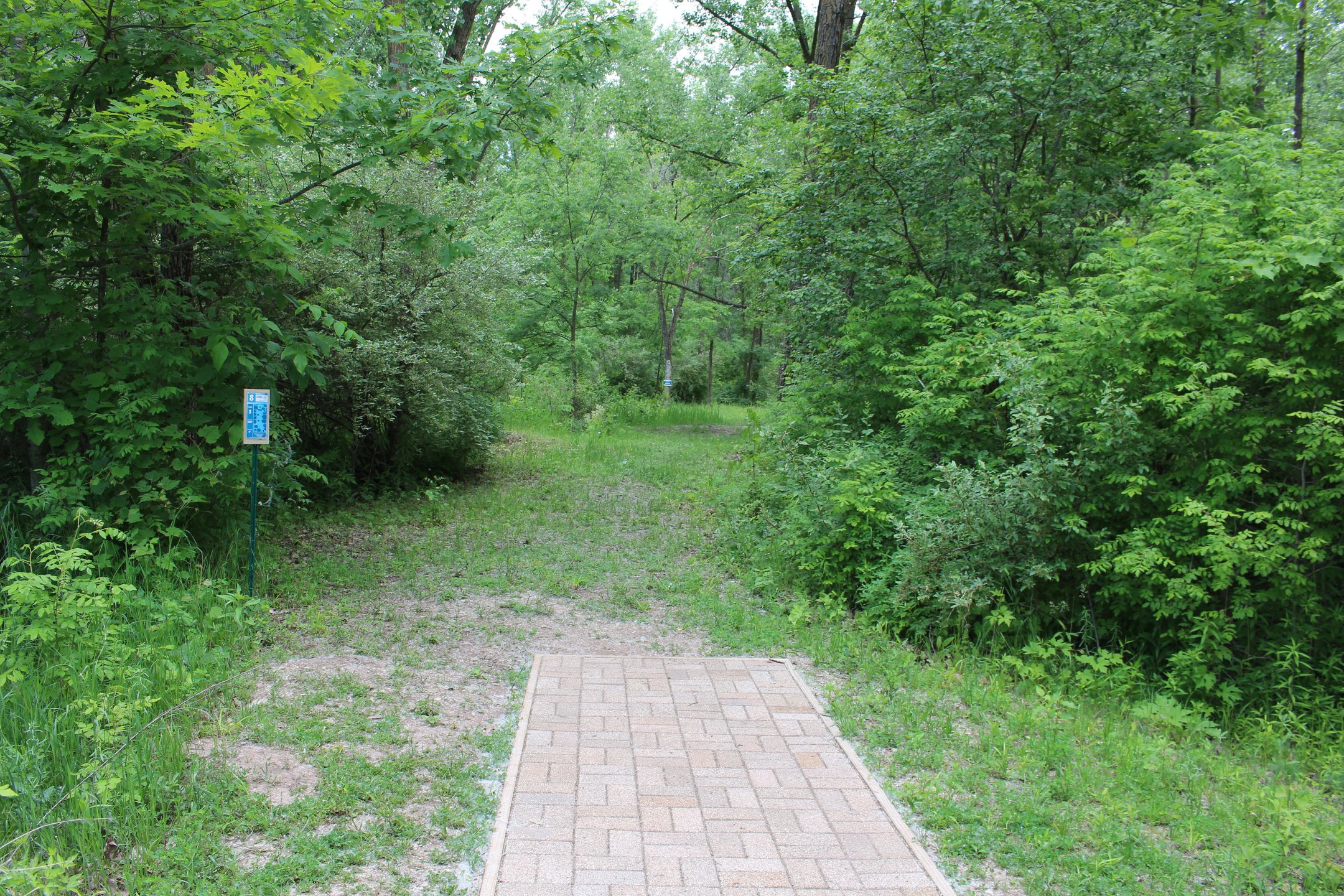 #8: ~300' turn over anhyzer line. Thick rough.