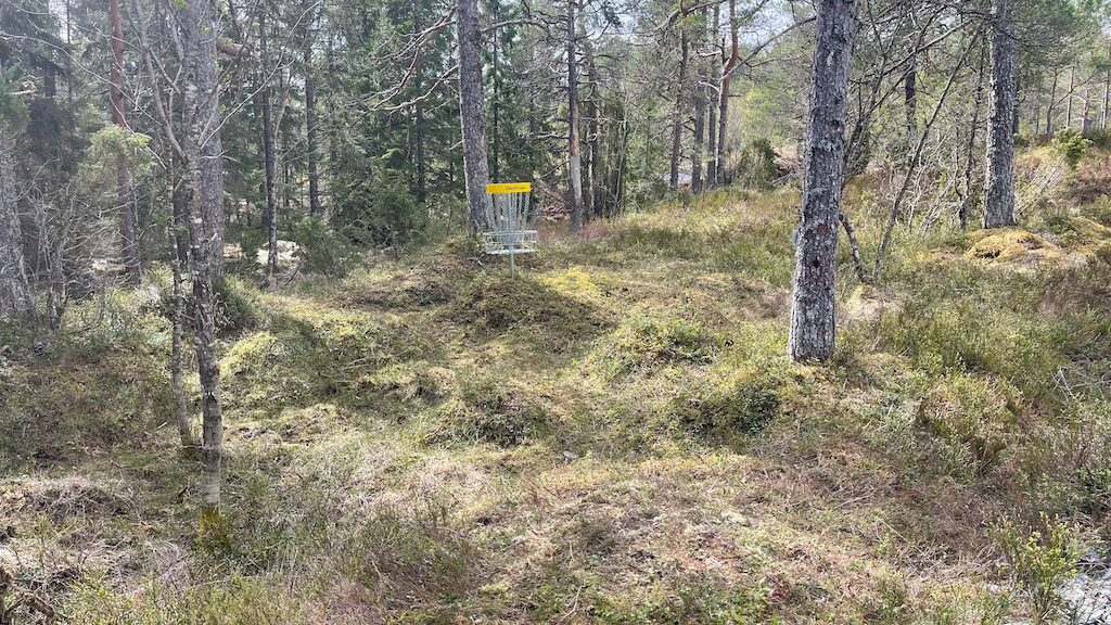 Kurven på hull 10. 