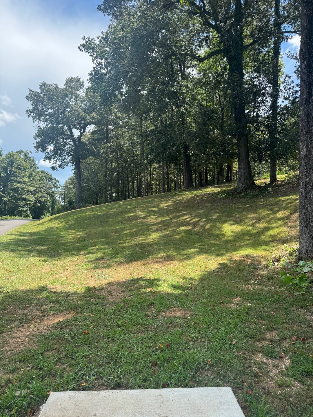 Hole 13 tee