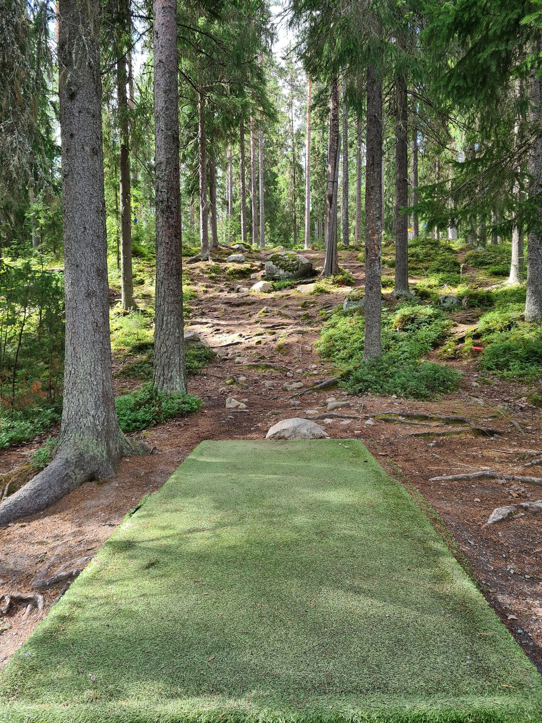 Hole 7