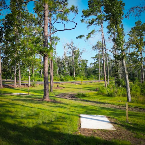 Sam Houston Jones State Park - Hole 2