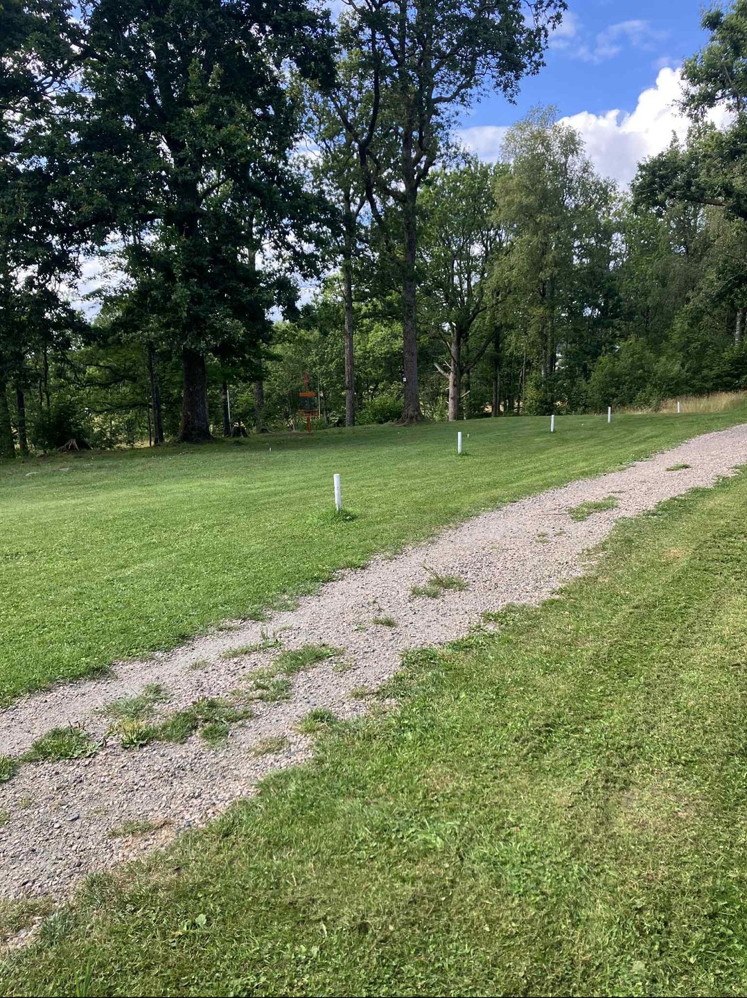 Fairway and basket on hole 17