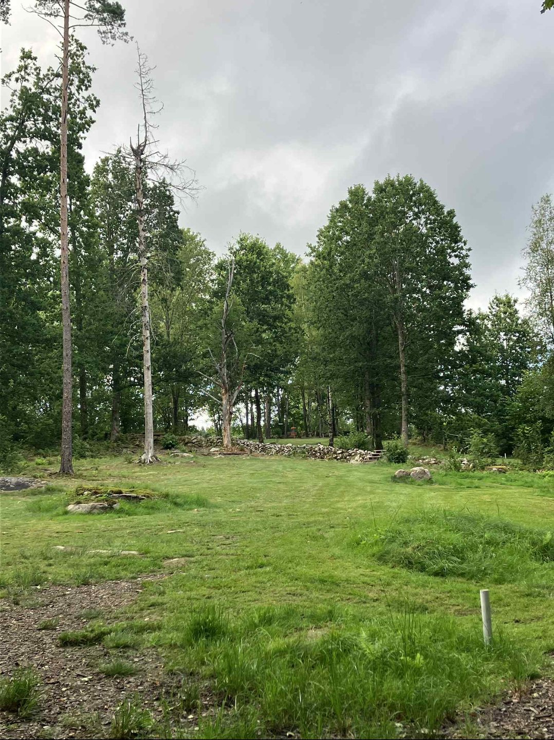 Fairway with stone wall in the middle of hole 8