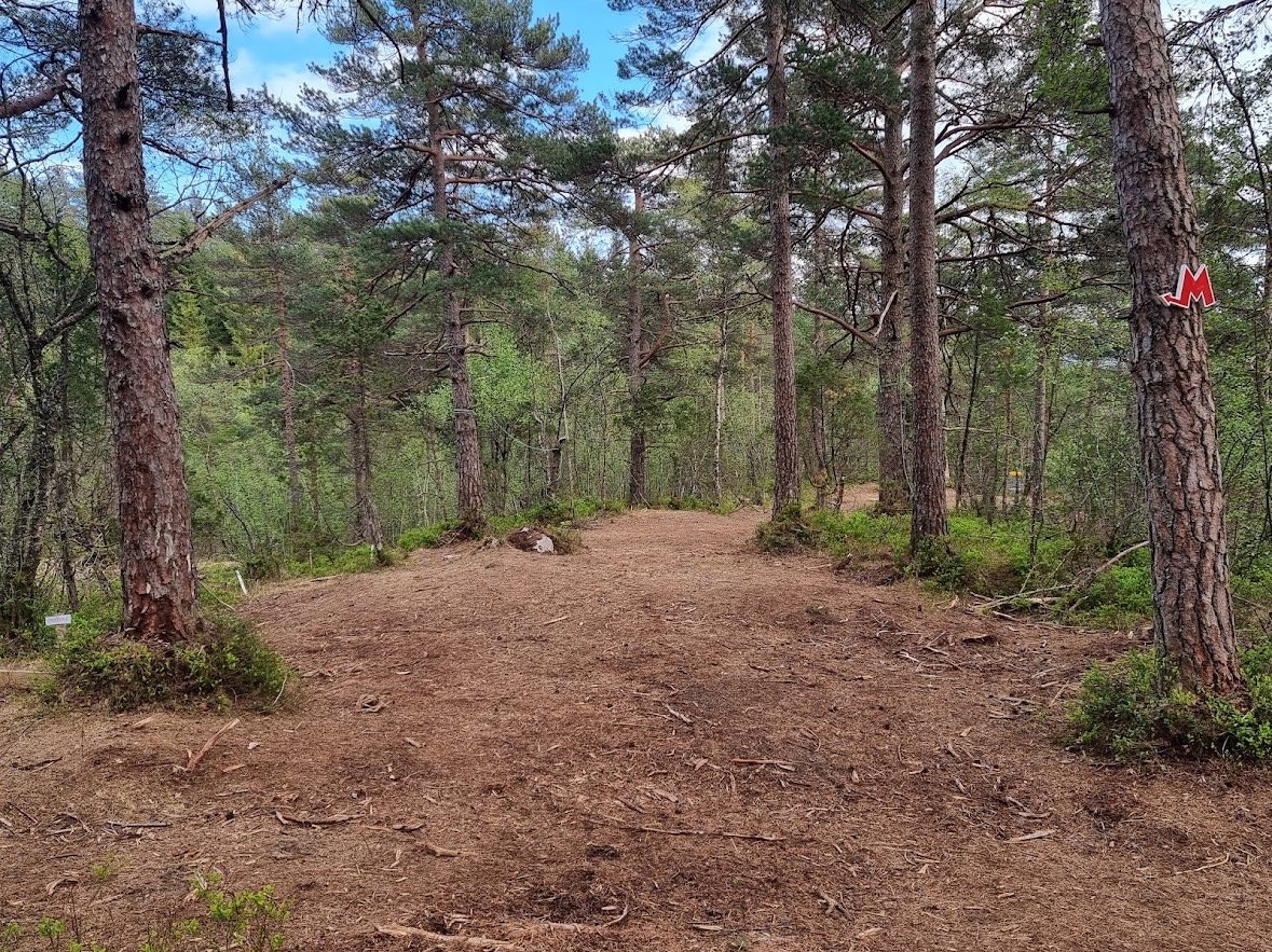 Fairway on hole 5
