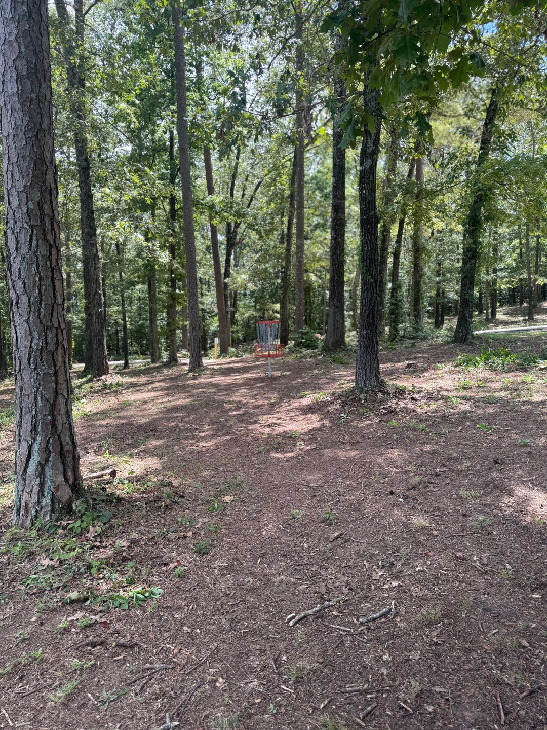 Hole 13 green