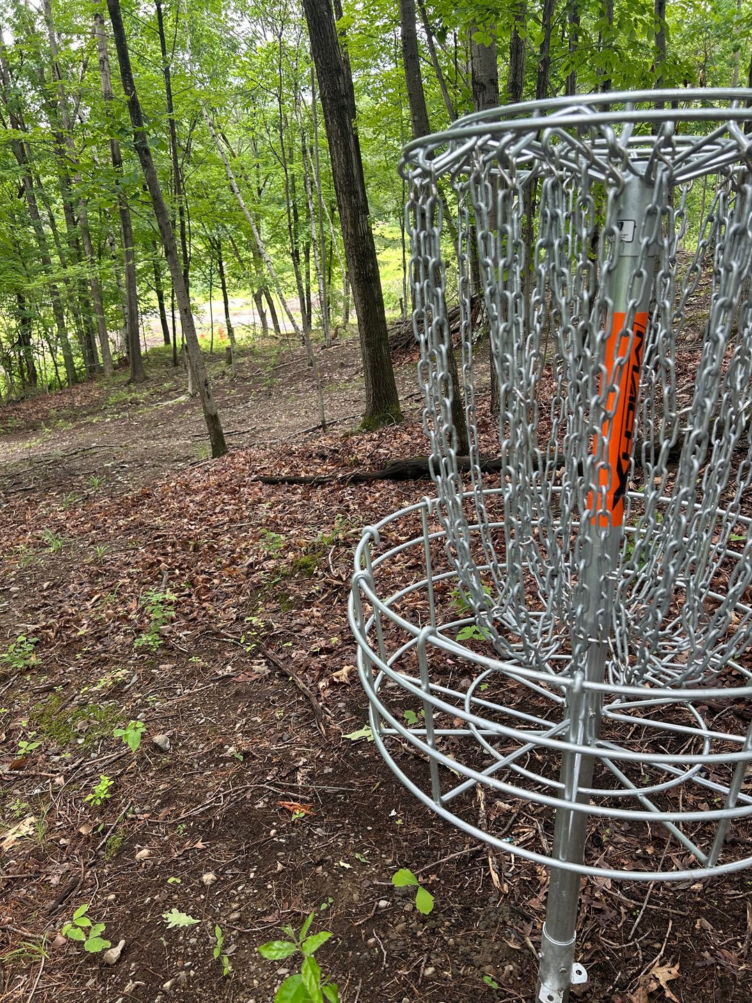 Hole 9 basket weekend layout 
Hole 3 basket weekday layout 