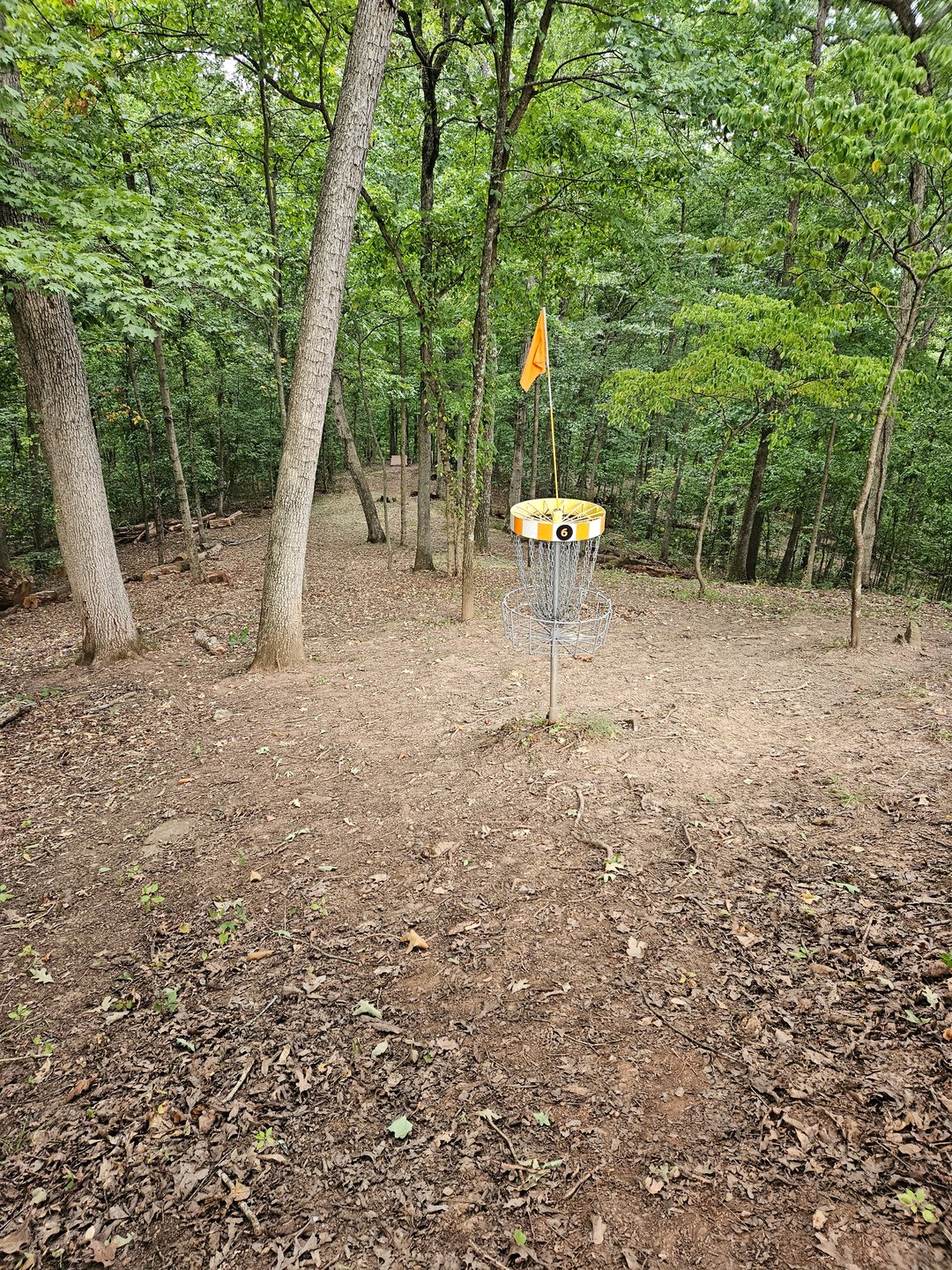 Behind the Basket, Looking down the fairway.