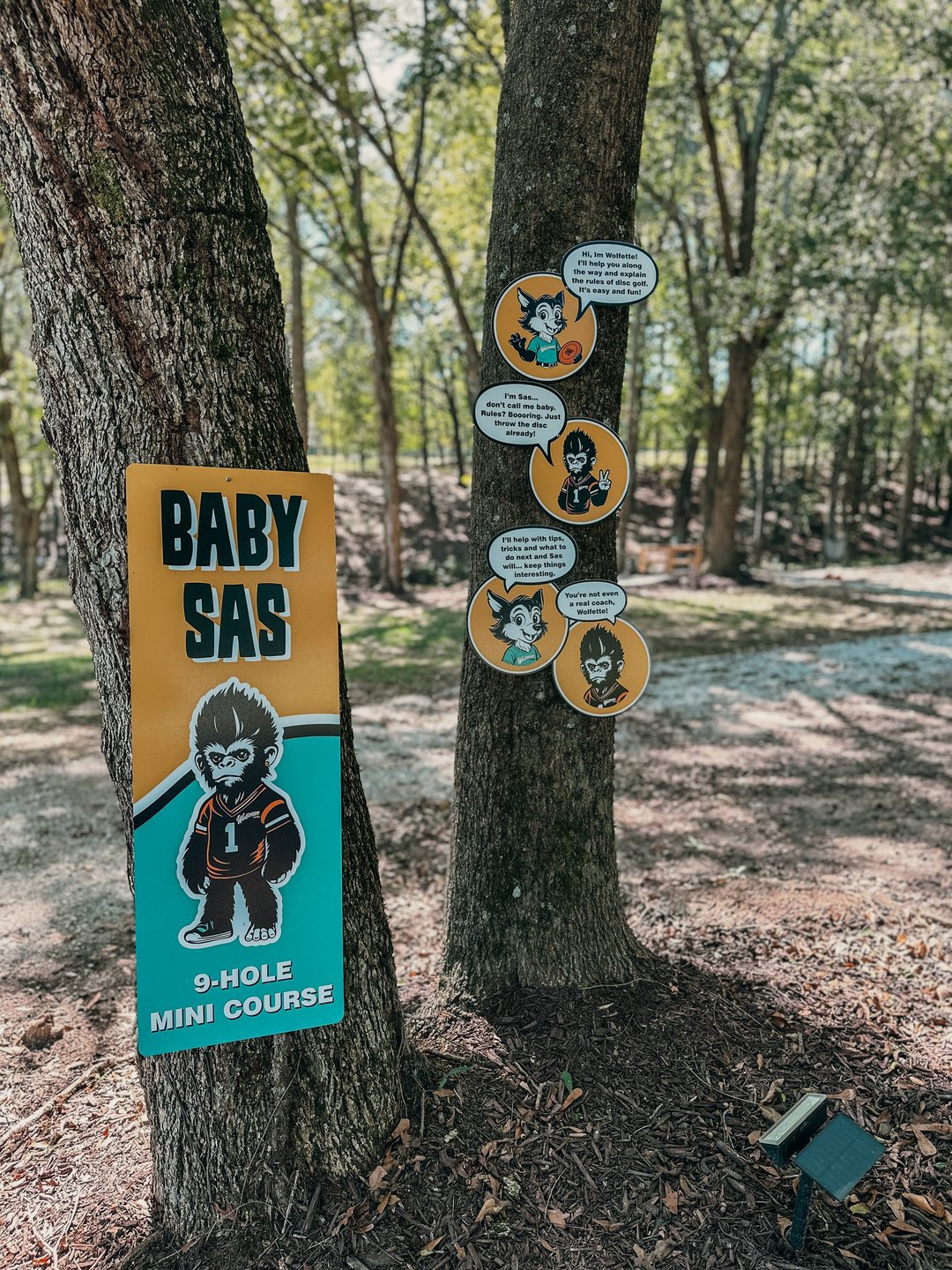 Welcome to Baby Sas: our 9 hole mini course! Grab the family or your friends and enjoy a easy going & fun round of disc golf!