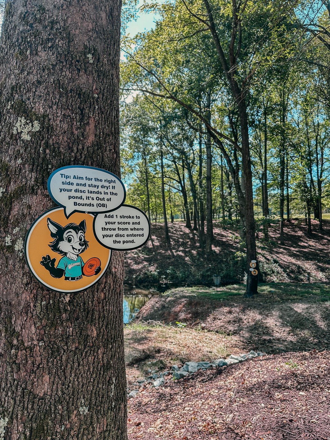 Hole #2