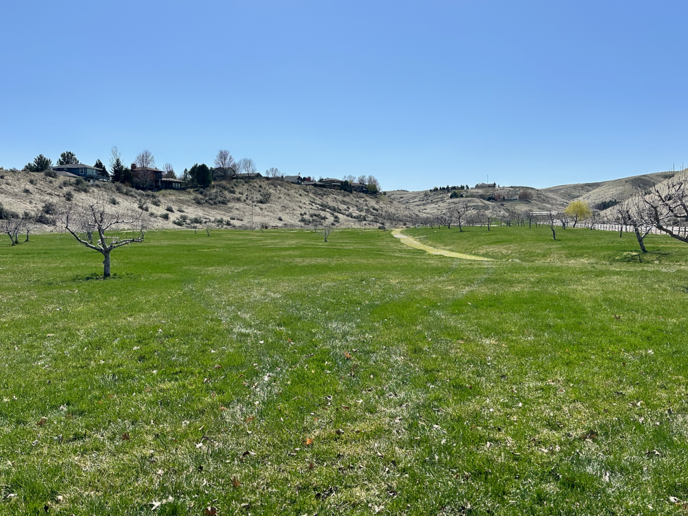 View looking south uphill towards #2