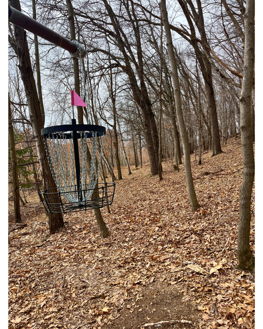 Hole #16 hanging basket