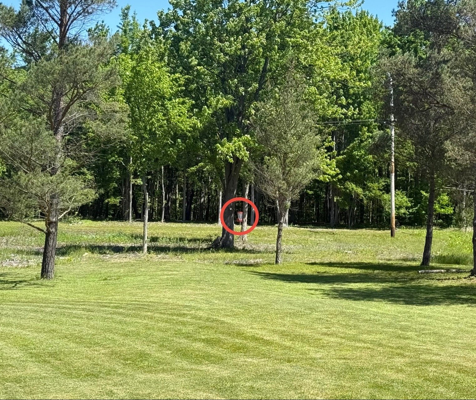 Hole 3 Tee to Basket