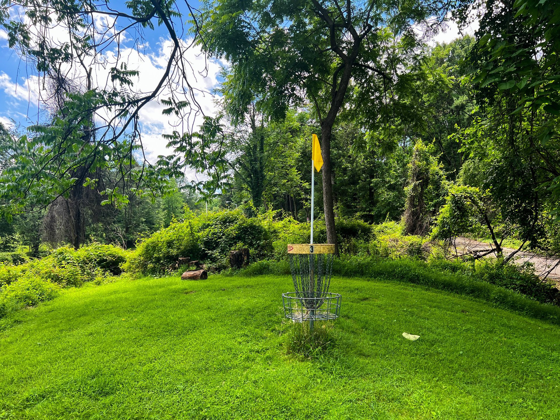 Hole 17's Yellow basket. Par 3. 321 ft. 18's tee is past and to the left. 