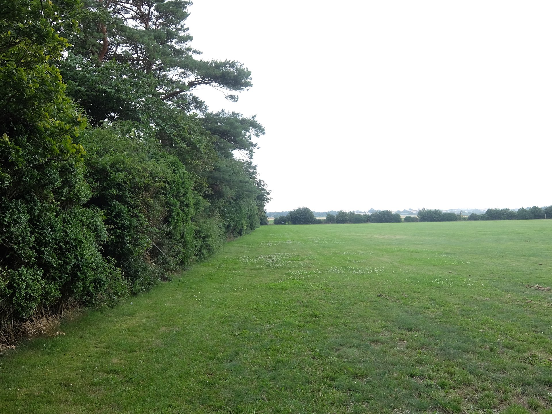 Tee one, you can start up to 5 meters from the sign  to avoid the bushes, be really careful about the hedge, which can be difficult to retrieve discs from