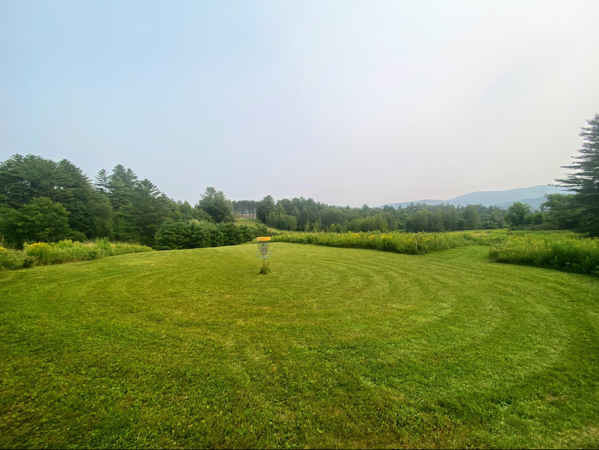 Hole 12 Green